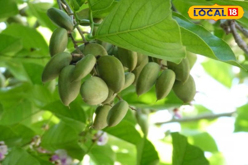 tip and tricks tip and tricks