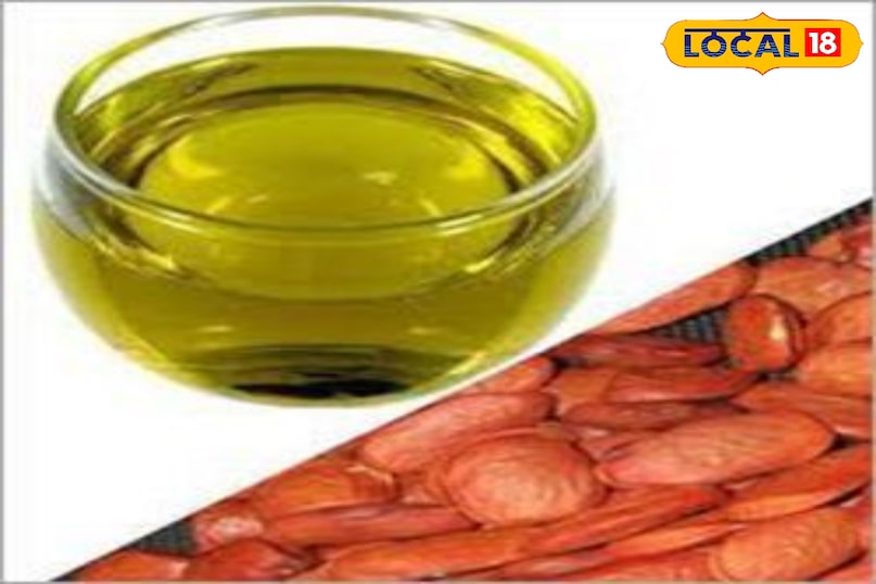 tip and tricks tip and tricks