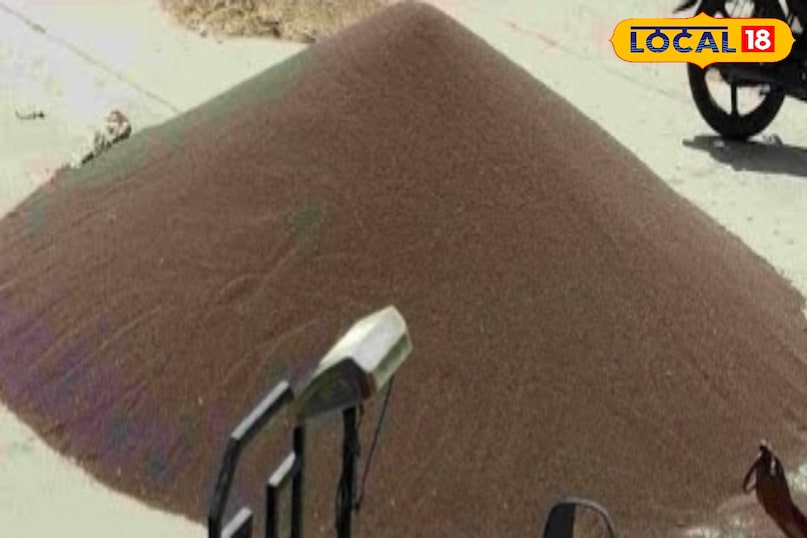 ग्वार के भाव 