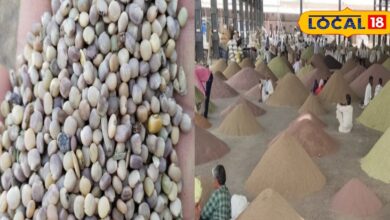 अमेरिका की मांग ने उड़ाए ग्वार के भाव, 15 दिन में 1700 रुपये उछाल से किसान खुश