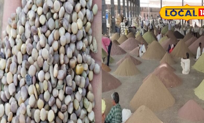 अमेरिका की मांग ने उड़ाए ग्वार के भाव, 15 दिन में 1700 रुपये उछाल से किसान खुश