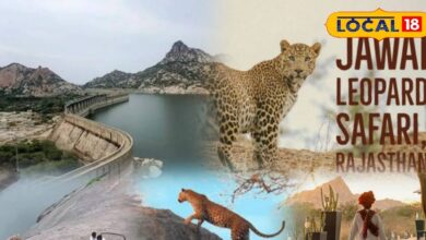 ट्रेवल टिप्स : न्यू ईयर पर जवाई बांध आए हैं? ये 5 जगहें मिस कीं तो अधूरा रह जाएगा ट्रिप, जरूर देखे 5 डेस्टिनेशन