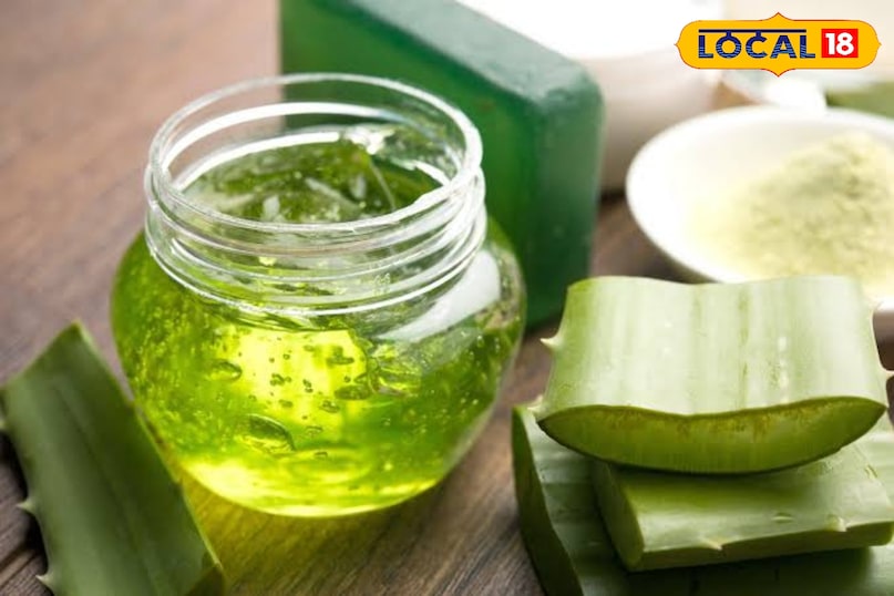 एलोवेरा जेल का जादू चेहरे की ताजगी बनाए रखने के लिए ताज़ा एलोवेरा जेल सबसे बेहतर है। यह नेचुरल मॉइस्चराइजर की तरह काम करता है और रंगत निखारता है। एलोवेरा जेल का जादू चेहरे की ताजगी बनाए रखने के लिए ताज़ा एलोवेरा जेल सबसे बेहतर है। यह नेचुरल मॉइस्चराइजर की तरह काम करता है और रंगत निखारता है।