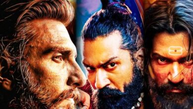 2025 में ₹1075 करोड़ में बनीं 5 बॉलीवुड फिल्में, कमाई ₹3106 करोड़ पार, 2 तो फ्लॉप होने के बाद भी बनाए रिकॉर्ड