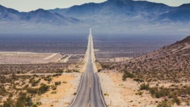 30000 KM लंबी, एक भी मोड़ नहीं... क्या जानते हैं दुनिया की सबसे सीधी सड़क कहां है, गुजरती है 14 देशों से?