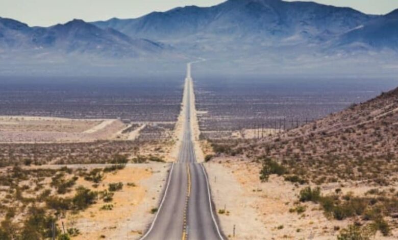 30000 KM लंबी, एक भी मोड़ नहीं... क्या जानते हैं दुनिया की सबसे सीधी सड़क कहां है, गुजरती है 14 देशों से?