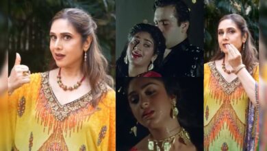 40 साल पुराने खुद के रोमांटिक गाने पर थिरकीं 62 साल की मीनाक्षी शेषाद्रि, दिए एक से बढ़कर एक पोज