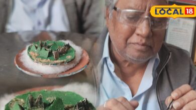 Aravali Protection | Aravali Hills Conservation | Dr Iqbal Sakka Udaipur | Smallest Aravali Range Art | Silver Micro Art | Save Aravali Campaign