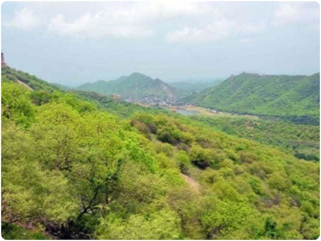 अरावली पर फैसला या विनाश?26 दिसंबर को सुप्रीम कोर्ट में हो सकती है बड़ी सुनवाई