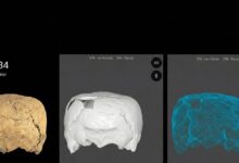 Archaeologists Unearth 1400 Year Old Cube Shaped Human Skull From Mexico | क्यूब के आकार की खोपड़ी देख चकराया वैज्ञानिकों का सिर, 1400 साल पहले क्यों करते थे लोग ऐसा काम