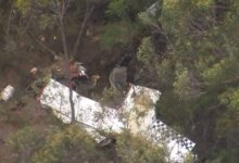 Australia Sydney Two Planes Collide Mid-Air | सिडनी के आसमान में मौत की टक्कर, फॉर्मेशन फ्लाइट के दौरान भिड़े दो हल्के प्लेन