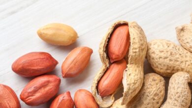 Benefits of eating peanuts in winter: सर्दियों में 1 दिन में कितनी मूंगफली खाएं, जानें इसकी तासीर और फायदे