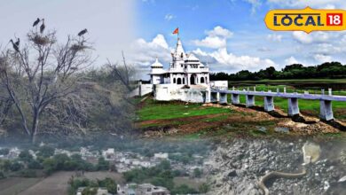 | Best Winter Picnic Destination Near Bhilwara| Bhilwara Ka Winter Birdwatching Spot |