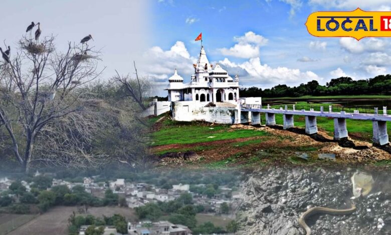 | Best Winter Picnic Destination Near Bhilwara| Bhilwara Ka Winter Birdwatching Spot |