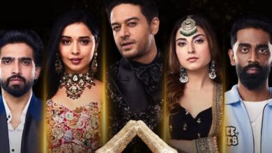 Bigg Boss 19 Grand Finale: कब और कहां देखें बिग बॉस 19 का ग्रैंड फिनाले? इतनी ज्यादा है मनी प्राइज, जानें