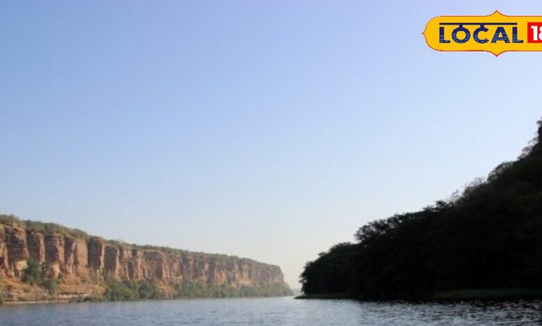 Chambal Safari Incident | Kota Family Trapped in River | Crocodile Attack Chambal | Chambal River Safari News | Chambal Wildlife Safari