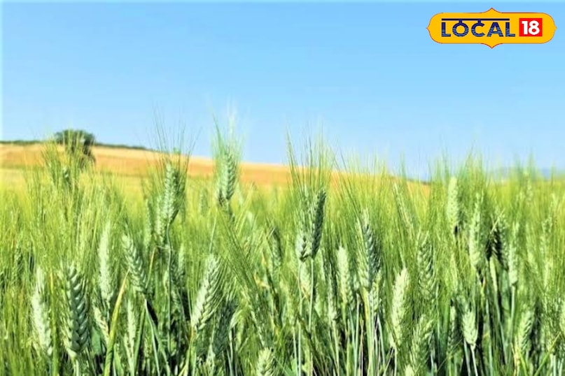 जोधपुर जोधपुर