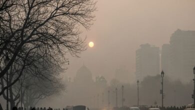 Delhi NCR Winter Health Alert Cold Fog and Pollution Triple Attack | दिल्ली एनसीआर में ठंड कोहरा और प्रदूषण का ट्रिपल अटैक