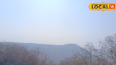 Dhaulpur News : ऋषि-मुनियों की तपोस्थली से चंबल के बीहड़ तक, यहां है विंध्याचल पर्वत का अंतिम छोर!