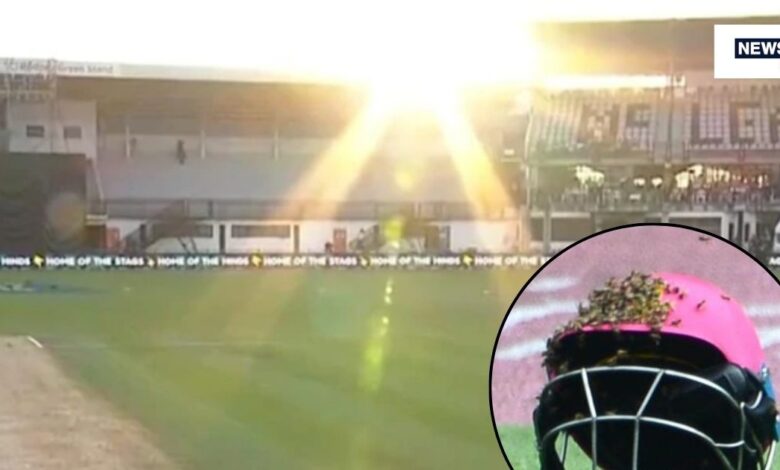 Five strange instances when cricket matches cancelled or stopped: क्रिकेट के मैदान पर पांच ऐसे मौके जब उसे अजीब मामलों के कारण रोका गया फिर रद्द कर दिया गया था.