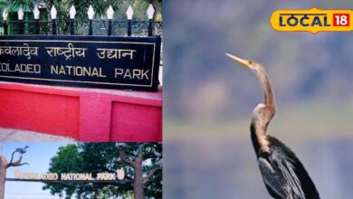 Ghana Bird Ringing | Keoladeo National Park Birds | Bharatpur Ghana Sanctuary | Migratory Birds Study | Bird Migration Science