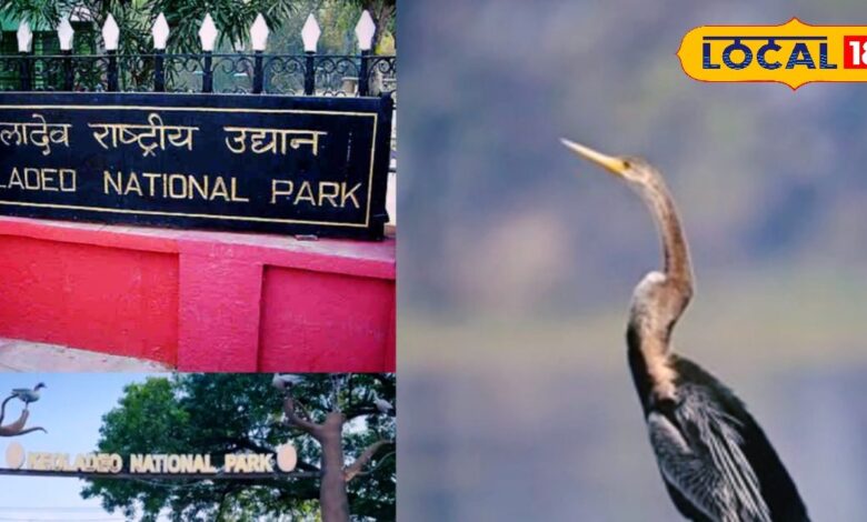 Ghana Bird Ringing | Keoladeo National Park Birds | Bharatpur Ghana Sanctuary | Migratory Birds Study | Bird Migration Science