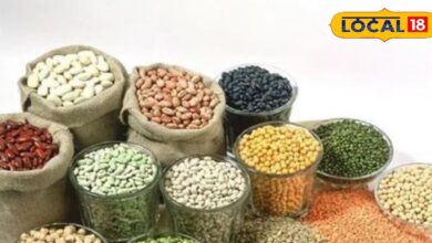 Health Tips: किस बीमारी में कौन सी दाल खाएं, यहां जानिए खाने का सही तरीका और हेल्थ बेनिफिट्स