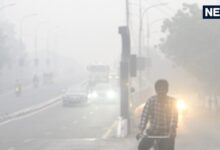 IMD Rain Alert | लीजिए अब आ गया बारिश का अलर्ट, पहाड़ी क्षेत्रों पर पाला पड़ने की संभावना, बढ़ेगी कंपकंपी - tamil nadu rain and cold forecast imd latest weather alert