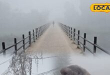 Karauli Weather News | Karauli Dense Fog | Karauli Cold Wave | Karauli Visibility 50 Meter | Karauli Winter Update | Rajasthan Fog News | Karauli Weather Video