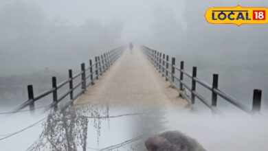 Karauli Weather News | Karauli Dense Fog | Karauli Cold Wave | Karauli Visibility 50 Meter | Karauli Winter Update | Rajasthan Fog News | Karauli Weather Video