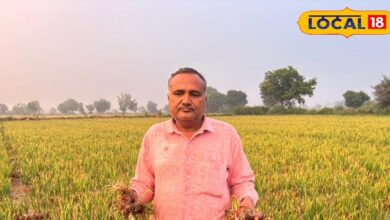 Khairthal Red Onion | Famous Onion India | Red Onion Farming Rajasthan | Farmer Income Khairthal | Onion Market Price | Onion Agriculture News | Red Onion Cultivation Tips