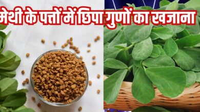 Methi ke patte ke fayde: इस छोटे पत्ते वाले साग के क्या कहने! सिर से लेकर पैर तक रखे फिट
