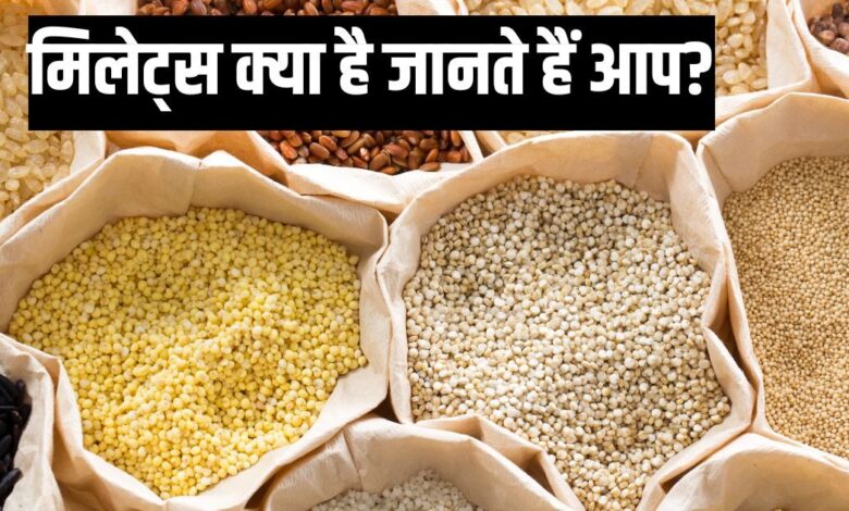 Millets Health benefits: मिलेट्स क्या है, कौन से अनाज होते हैं इसमें शामिल, जानें सेवन के फायदे