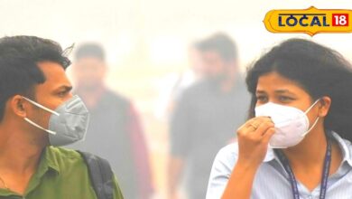 Natural food item for lungs in winter season pollution 