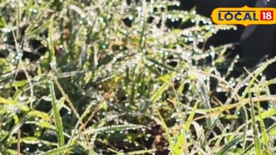 Rajasthan Weather Update. Cold Winds And Fog Increase Winter Impact.