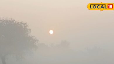 Rajasthan Weather Update | Rajasthan Cold Wave | Rajasthan Temperature Drop | Yellow Alert Rajasthan | Winter Weather Rajasthan