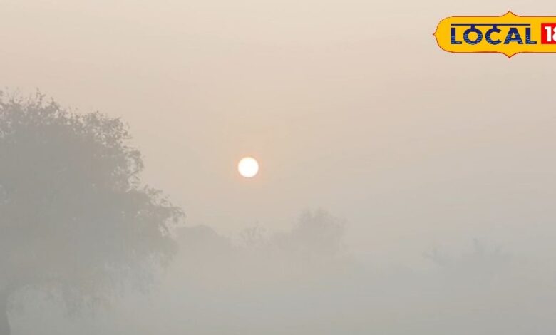 Rajasthan Weather Update | Rajasthan Cold Wave | Rajasthan Temperature Drop | Yellow Alert Rajasthan | Winter Weather Rajasthan