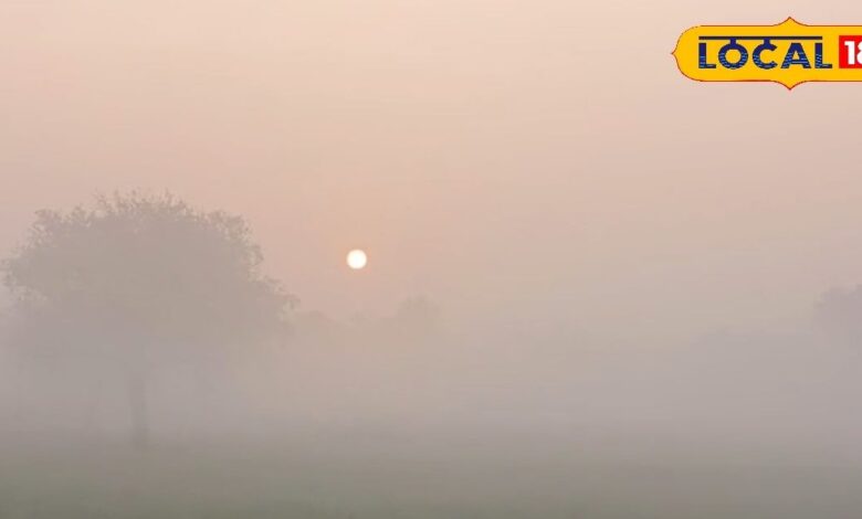 Rajasthan Weather Update | कोहरे का अलर्ट | Western Disturbance का असर