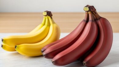 Red Banana Benefits : सर्दियों में पीला नहीं...खाएं लाल केला, शरीर को एक साथ होंगे कई फायदे!