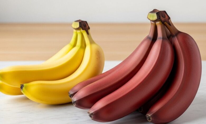 Red Banana Benefits : सर्दियों में पीला नहीं...खाएं लाल केला, शरीर को एक साथ होंगे कई फायदे!