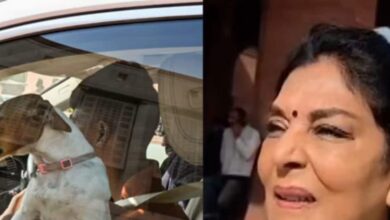 Renuka Chowdhary Dog ​​Controversy: कांग्रेस सांसद के संसद में कुत्ता लाने पर क्यों मचा विवाद, क्या कहते हैं नियम