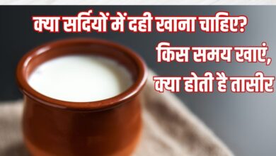 Sardiyo me dahi khana chahiye ya nahi: क्या सर्दियों में हर दिन दही खा सकते हैं? जानें खाने का सही समय, तासीर