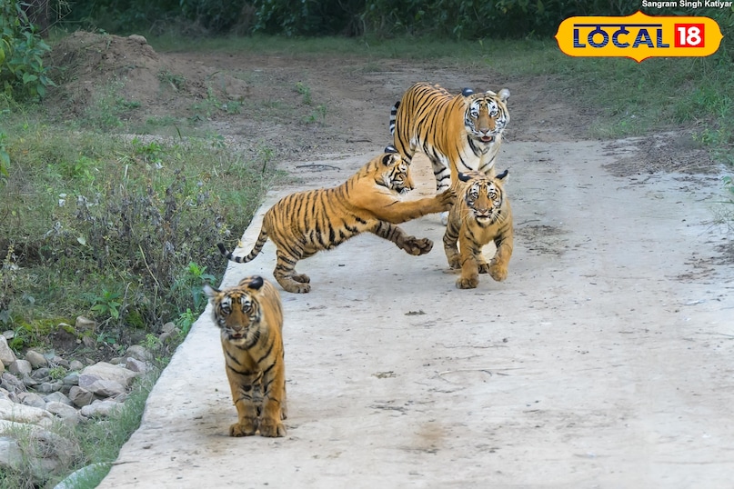 सरिस्का टाइगर रिजर्व