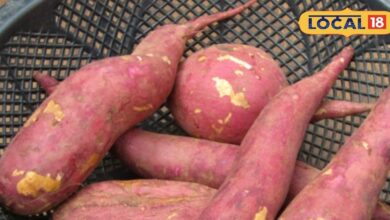 Sweet Potato Benefits in Winter | Blood Circulation Food | Skin Care Winter Diet | Sweet Potato for Skin | Healthy Winter Superfood | Immunity Boosting Foods