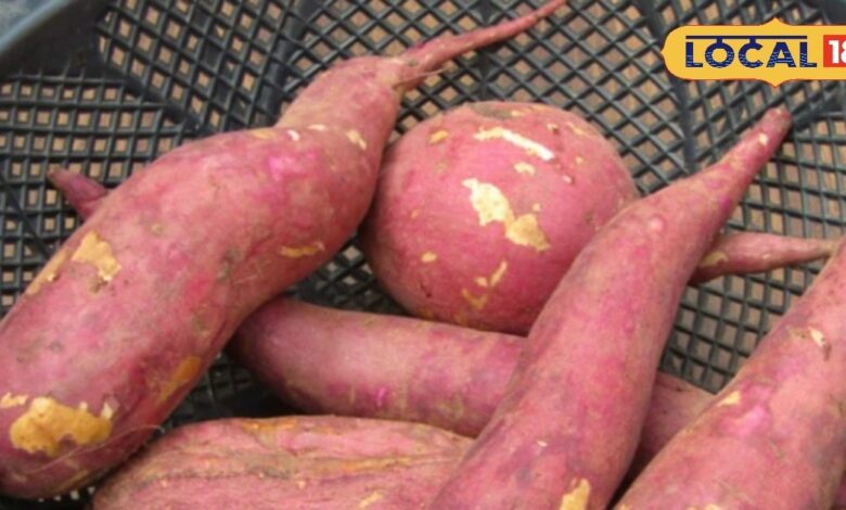 Sweet Potato Benefits in Winter | Blood Circulation Food | Skin Care Winter Diet | Sweet Potato for Skin | Healthy Winter Superfood | Immunity Boosting Foods