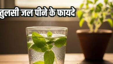 Tulsi ka pani peene ke fayde: सेहत के लिए अमृत समान तुलसी जल, जानिए फायदे