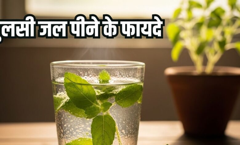 Tulsi ka pani peene ke fayde: सेहत के लिए अमृत समान तुलसी जल, जानिए फायदे