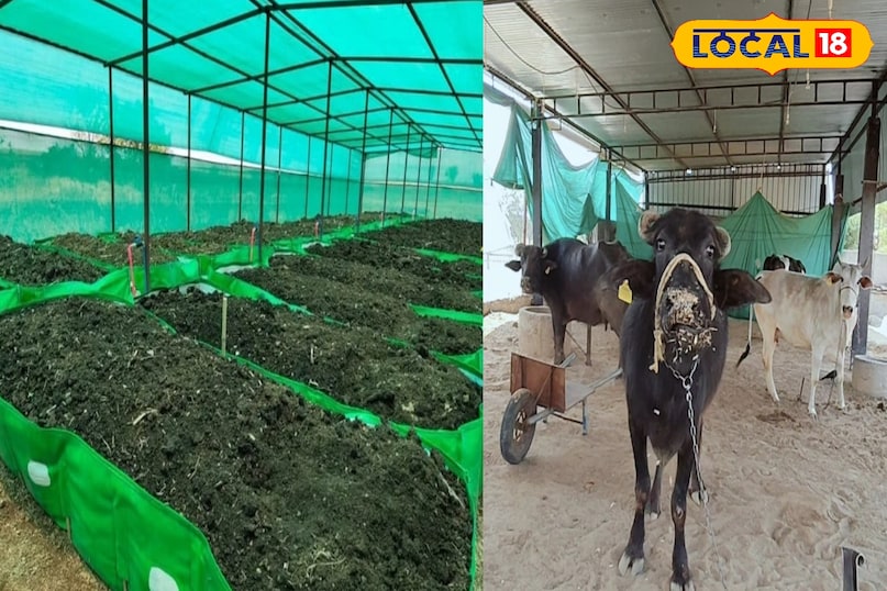 Agriculture News Agriculture News