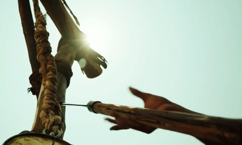 While Allu Arjun film Pushpa earned 350 crore rupees its sequel Shockingly raked in 823 crore | पहले पार्ट ने 2021 में, दूसरे पार्ट ने 2024 में... वो 2 फिल्में, जिनके सामने हर एक मूवी बॉक्स ऑफिस पर हुई धराशायी