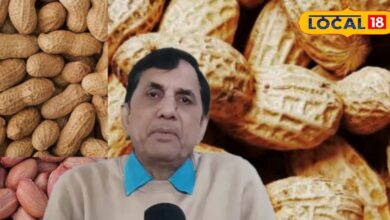 Winter Health Tips | Peanut Health Benefits | Ayurvedic Superfood Peanut | Peanuts for Winter Diet | Peanut Consumption Ayurveda | How to Eat Peanuts in Winter | Peanut Dosage Ayurvedic